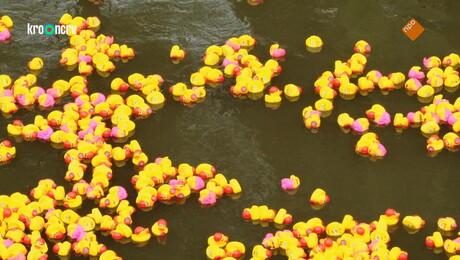 Klaas is voor één dag afvalduiker